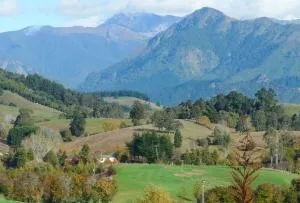 奥利诺科乡村度假屋 - Pangatotara