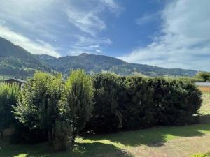 Appartements Spacieux 4 pieces avec parking et vue imprenable a Praz-sur-Arly - FR-1-603-40 : photos des chambres