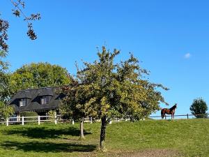 Maisons de vacances Le Gite Marguerite - Calvados : vue panoramique sur la Normandie : photos des chambres