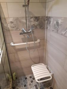 Appartements Gite de la Presqu'ile de Lezardrieux, adapte PMR : photos des chambres