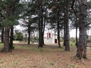 Maisons de vacances Le Cabanon de Vally : photos des chambres