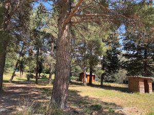 Maisons de vacances Le Cabanon de Vally : photos des chambres