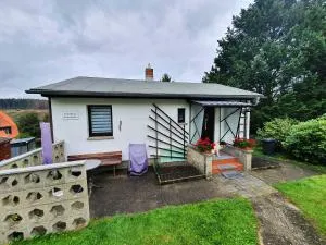 Ferienhaus Harztraum - 塔内