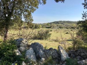 Appartements Joli studio Les Hibiscus du Pic Saint Loup : photos des chambres