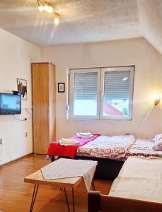 Standard Triple Studio room in Apartmani Božana Vojinović