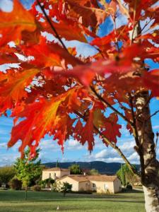 B&B / Chambres d'hotes Les Chenes Rouges : photos des chambres