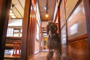 Okamuran Shimanami Goten - Vacation STAY 95664v - Seto