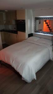 Beautiful holiday studio in the heart of Rochester