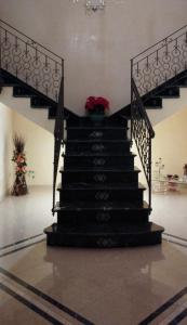 Carini Luxury Apartment vicino aereoporto e al mare