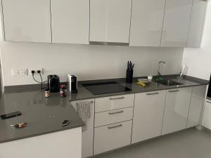 New Modern Apartment Puerto Banus