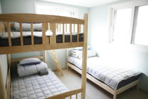 Twin Rabbit Guesthouse