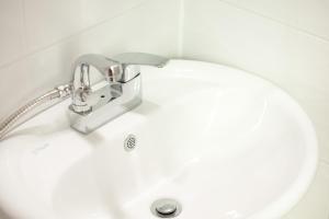 Twin Rabbit Guesthouse