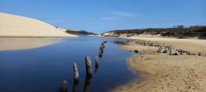 Maisons de vacances Nice 55m in residence with pool and garden ! : photos des chambres