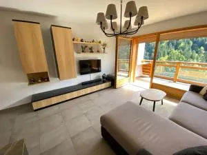 Charmant appart 2 ch + coin nuit, balcon sud, garage, près de La Clusaz et commerces, St Jean de Sixt - FR-1-459-195 - 圣让德锡克斯特