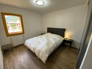 Charmant appart 2 ch + coin nuit, balcon sud, garage, près de La Clusaz et commerces, St Jean de Sixt - FR-1-459-195