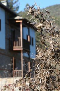 Kerasies Guesthouse Zagori Greece