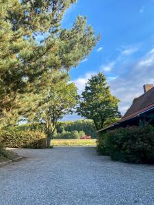 B&B / Chambres d'hotes Le Clos de Benedicte : photos des chambres