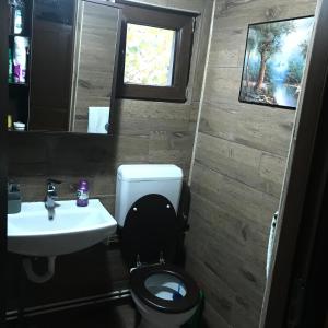 Cabana Trei Brazi Dambovita