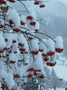 Auberges de jeunesse Gite les 3 cols : photos des chambres