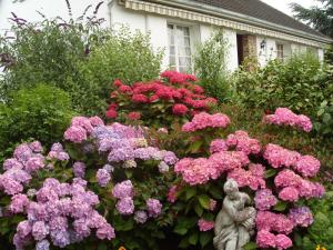 Maisons d'hotes Les Puits Bessin Normandie : photos des chambres