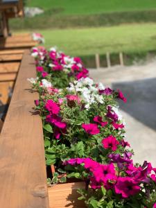 Hochalmbahnen Chalets Rauris 1-14 WE4, Maislaufeldweg 1l OG