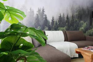 Quiet hidden gem in historic Stellenbosch