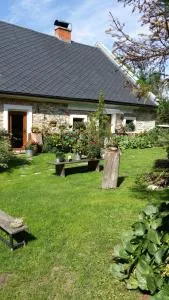 Penzion Na koštěti - pejsci zdarma - Langenberg