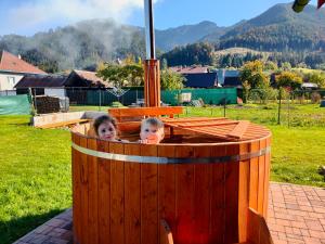 Drevenice Liptov - ski & hiking apartments