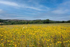 The Woodland Collection, 10 mins from beaches