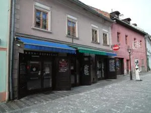 Apartments and Suites Kremnica - 克雷姆尼察