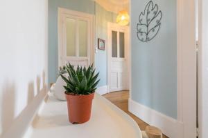 Appartements Chez Marcel : photos des chambres