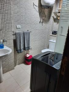 Apartment in Luxor city center-Nil