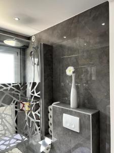 Appartements Superbe appartement lumineux avec parking gratuit : photos des chambres