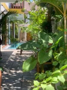 An Bang Rainbow Beach House