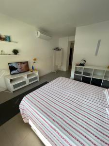 Plaza de toros Centro