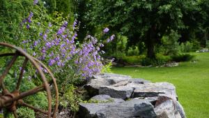 Saunaga suur puhkemaja Uneallikal, Harjumaal, kuni 11 inimest