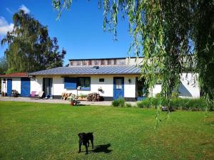 Maisons de vacances Gite du Chateau d’Hardelot a Condette : photos des chambres