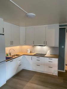 Nydelig leilighet på Kreta i Lofoten