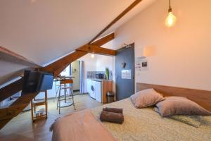 Appartements Velours & Balneo : photos des chambres