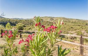Stunning Home In Les Coves De Vinromá