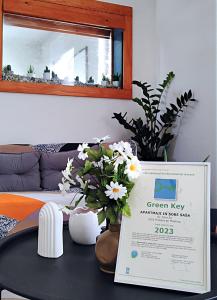 Apartments & rooms Saša 