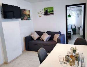 Apartments & rooms Saša