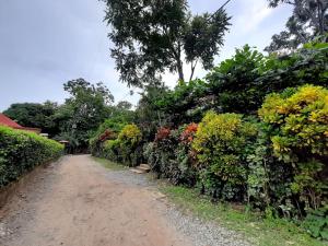 Hostal Bralgijon Capurganá
