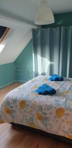 Maisons de vacances Le Paradis des Fleurs : photos des chambres