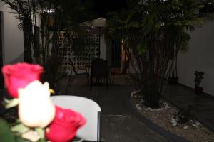Casa Zazil