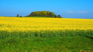 Residenz Villa Eintracht