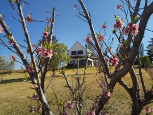 At Meerkat and Rehoboth Self Catering Lodges, Clarens