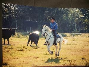 Chalets Les Oliviers de Camargue : photos des chambres