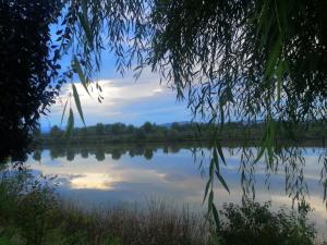 COMPLEX AGREMENT BELLAVI