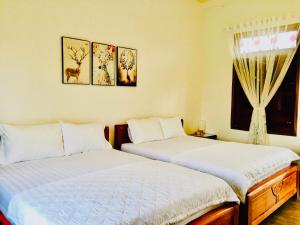 Phòng 4 Người (Quadruple Room)